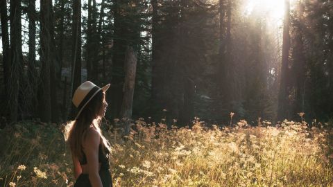 Los árboles son nuestra conexión con la naturaleza.