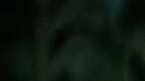 Cada signo tiene un hada protectora.