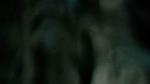 Cada signo tiene un hada protectora.