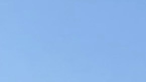 Los cruceros Zaandam y Rotterdam ya atracaron en Puerto Everglades, al norte de Miami.