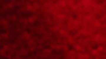 Por mucho que tengas zapatos con buen estilo, podrías cargar con varios gérmenes en sus suelas.