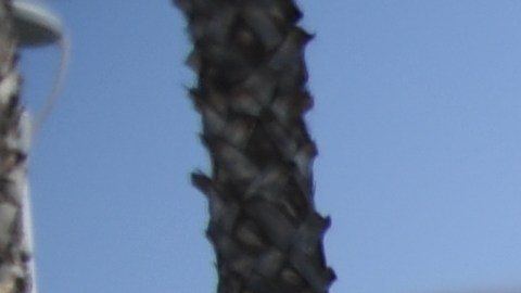 El apoyo se destinó a 2 mil familias de la región.