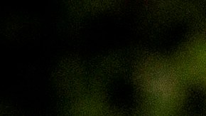 El presidente Donald Trump.