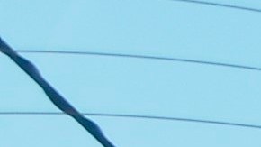 USA1774. LOS ÁNGELES (CA, EEUU), 22/05/2020.- Miguel Otero limpia un auto ataviado con una mascarilla, obligatoria por las condiciones de seguridad sanitaria, este jueves en el centro de lavado de vehículos Alicia Auto Spa, en Laguna Hills, California. Con optimismo, mascarillas y algo de aprehensión por las nuevas circunstancias de trabajo, los "lavacoches" latinos están retomando sus labores al reabrirse varios de estos negocios en el sur de California. EFE/Luis Uribe