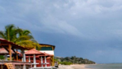 ¿Es seguro nadar en el mar?