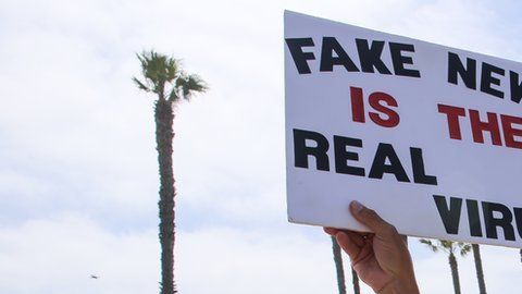 Un manifestante que duda de la existencia del SARS-CoV-2 y cree que "las noticias falsas son el verdadero virus".