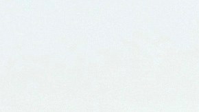 Las madres acudieron con mascarillas a la manifestación.