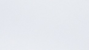 Empleados de Rite Aid y activistas protestaron el viernes. (Suministrada)