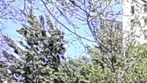 Parques con círculos de cal para el distanciamiento