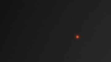 Morfología del coronavirus