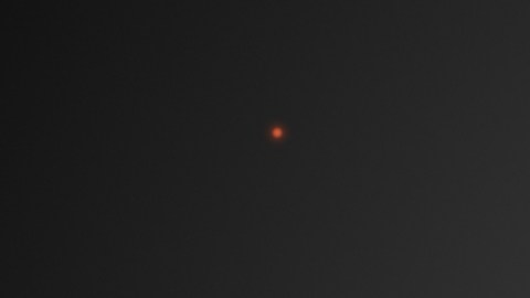 Morfología del coronavirus