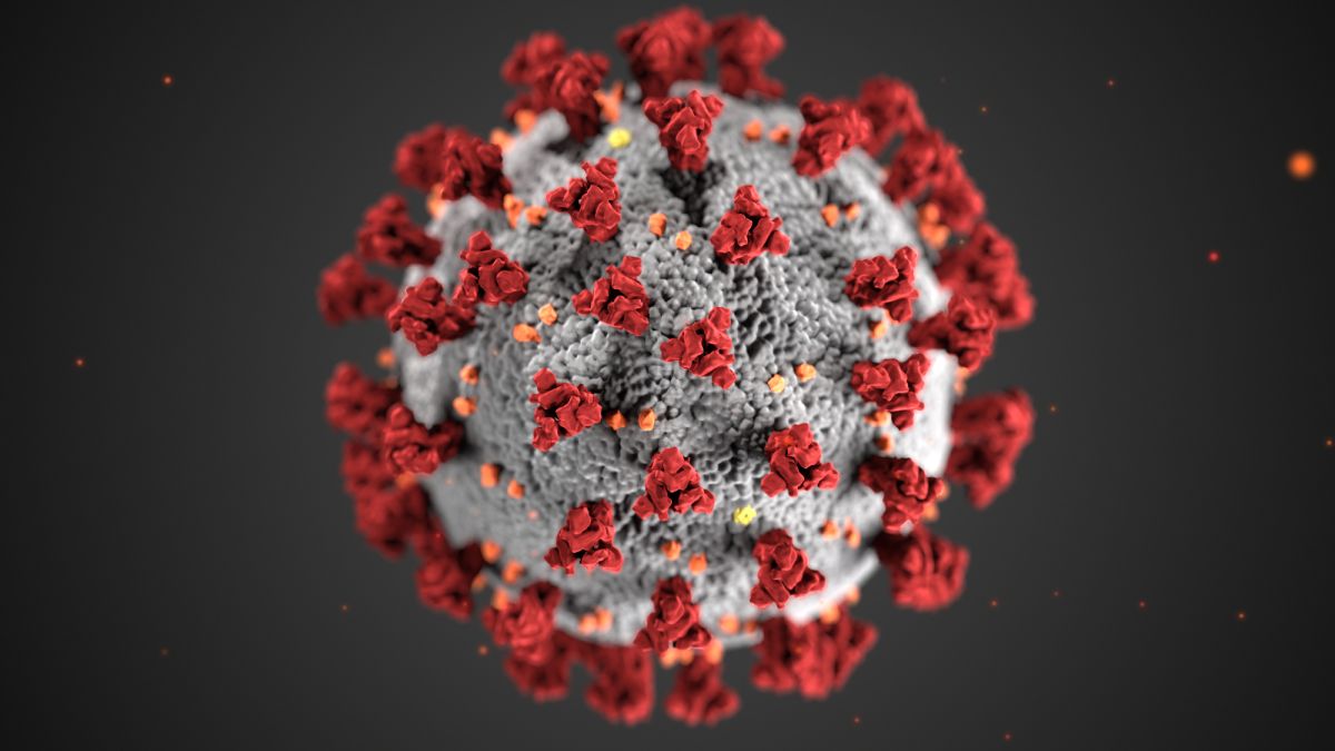Esta ilustración, creada en los Centros para el Control y la Prevención de Enfermedades (CDC), revela la morfología ultraestructural exhibida por los coronavirus.