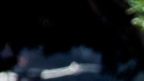 Los decesos por choque han aumentado a niveles previos de la pandemia