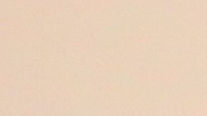 Biden respondió a las acusaciońes