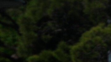 La mujer centenaria también vivió la gripe de 1918.