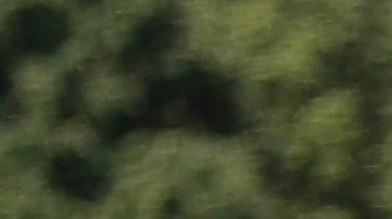 A pesar los más de 60,000 casos de COVID-19 en California, hay quienes piden reapertura total.