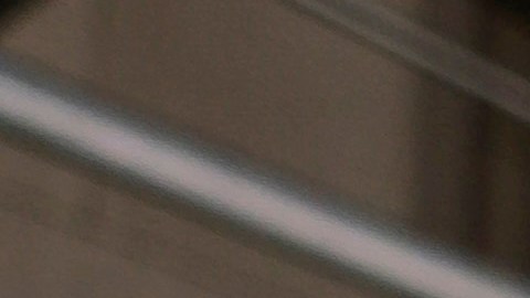 Las primeras semanas de marzo fueron cruciales para las grandes urbes.