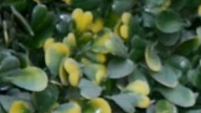 Fernanda Castillo y Erik Hayser.