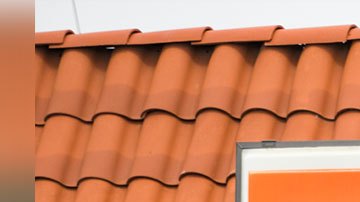 Tienes que ser parte de su programa de recompensas para aprovechar la promoción.