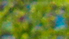 Los asistentes al evento ya han sido avisados.