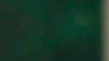 El vicepresidente sigue los pasos de Trump al negarse a cubrirse la cara.