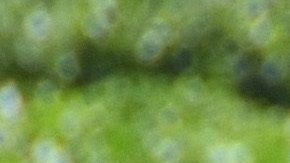 Trabajadores agrícolas  del Condado de Riverside