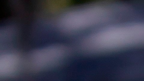 Un padre y un hijo blanco son los sospechosos del asesinato.