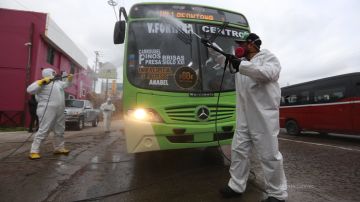 El equipo se encarga de desinfectar autobuses y hasta taxis. / fotos: cortesía COVID-Busters TJ.