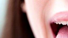 lengua
