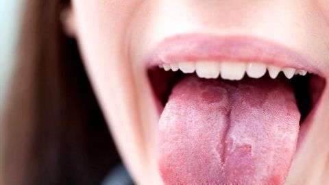 lengua