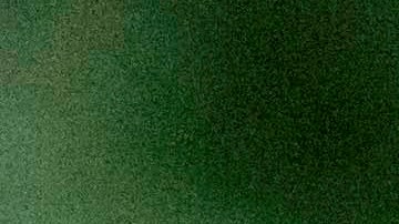 Los investigadores han descartado desde el principio que el virus se transmita sexualmente.