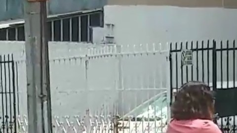 La mujer recibió muestras de afecto.