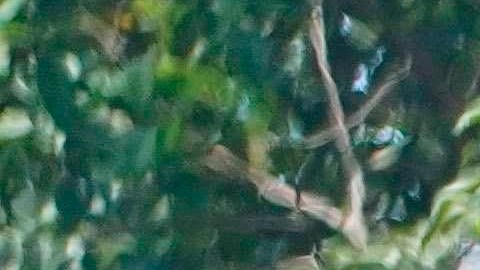 Imagen del 1 de mayo de 2020 de la preparación de una olla común para personas necesitadas en Santa Cruz (Bolivia). Las ollas comunes son un alivio para muchos bolivianos a los que la cuarentena complica aún más su situación precaria en ciudades como Santa Cruz. EFE/Juan Carlos Torrejón