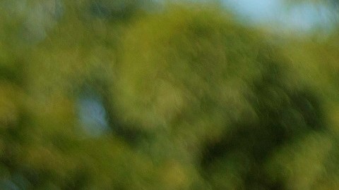 AME3374. BRASILIA (BRASIL), 31/05/2020.- El presidente de Brasil, Jair Bolsonaro, saluda a simpatizantes este domingo sobre un caballo, en Brasilia (Brasil). El presidente brasileño, Jair Bolsonaro, volvió a ignorar este domingo la gravedad de la COVID-19, que deja ya casi 30.000 muertes en el país, y asistió a una manifestación en la que hasta se paseó montado a caballo ante miles de personas. El acto se desarrolló a las puertas del Palacio presidencial de Planalto, y como ha ocurrido en manifestaciones que el "bolsonarismo" celebró los últimos domingos, hubo protestas contra el Congreso y la Corte Suprema, que según los partidarios del líder de la ultraderecha "conspiran" contra el Gobierno. EFE/ Joédson Alves