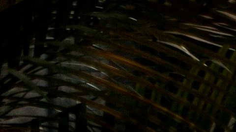 Miembros del ejército brasileño desinfectan una unidad médica en Río de Janeiro.