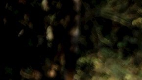 Uno de los sepultureros de Vila Formosa, el mayor cementerio de América Latina.