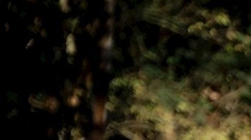 Uno de los sepultureros de Vila Formosa, el mayor cementerio de América Latina.