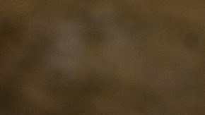 CARAMBOLA-christian ananta en Pixabay