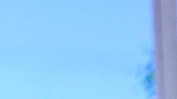 Carmen Villalobos vive la cuarentena acompañada de su pareja y mascotas.