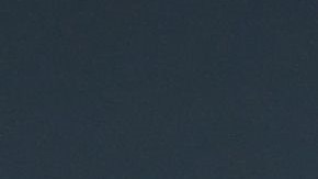 Chris Evans ama a su perro, pero el corte de pelo no le salió.