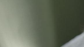 La ceremonia se podrá seguir en vivo.