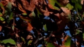 Vista del exterior del centro comercial Apumanque este en la comuna de las Condes en Santiago (Chile). EFE/Alberto Valdes/Archivo