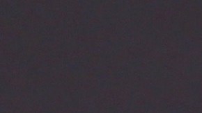 David Zepeda piensa que parte de la felicidad consiste en tener animales de compañía.