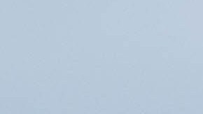 Los jóvenes DACA se manifestaron durante meses en diferentes lugares icónicos de California para presionar porque DACA continuará. (Cortesía CHIRLA)