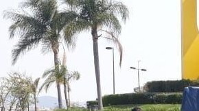 El vehículo donde viajaban los presuntos delincuentes.