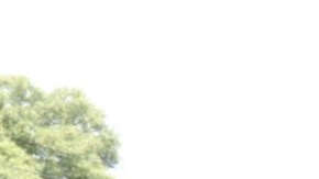 El sujeto circulaba en un auto blindado cerca del aeropuerto internacional de Ciudad de México.