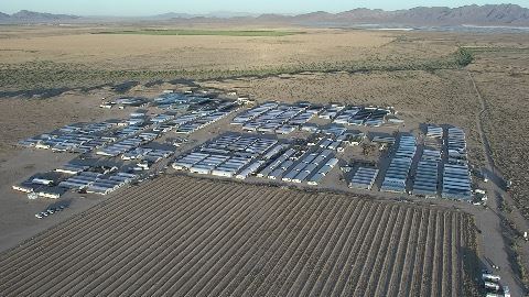 Vista área del terreno donde se encontraba la plantación ilegal.