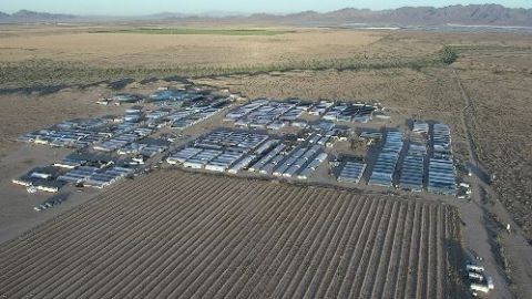 Vista área del terreno donde se encontraba la plantación ilegal.