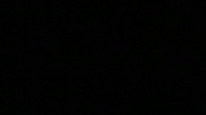 El Dasa adora a Benito, su inseparable bulldog.