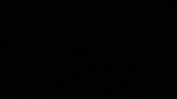 El Dasa adora a Benito, su inseparable bulldog.